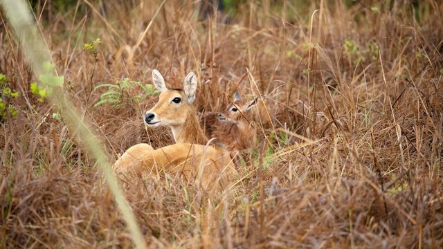 Vignette du programme télé Mère nature - Saison 1