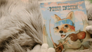 Vignette du programme télé Yétili (Petit Indien) S1 (23/26)