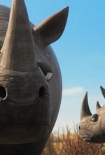 Vignette du programme télé Les as de la jungle à la rescousse
