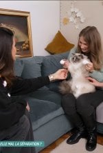 Vignette du programme télé La vie secrète des chats