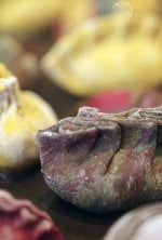 Vignette du programme télé Voyage gourmand